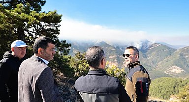 Denizli'deki orman yangını söndürüldü