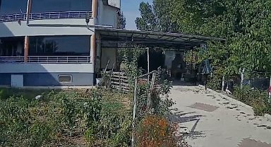 Deprem Elazığ'da güvenlik kameralarına yansıdı