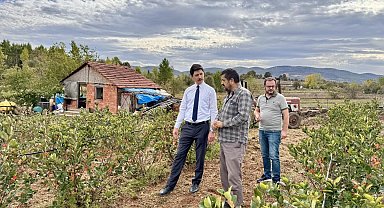 Dereköy ve Ahmetler köyünün yeni geçim kaynağı ahududu ve aronya