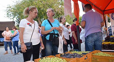 Didim Zeytin Festivali başladı
