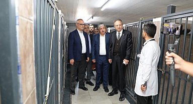 Dilovası'nda hayvanları koruma gününde farkındalık