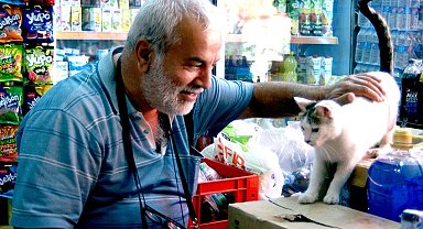 Diyarbakır'da sokak hayvanları için çağrı