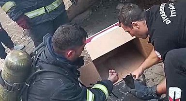 Diyarbakır'da yangında mahsur kalan yavru kedileri itfaiye erleri kurtardı