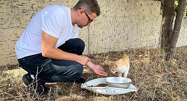 Doğadaki hayvanlar için koruma çalışmaları devam ediyor