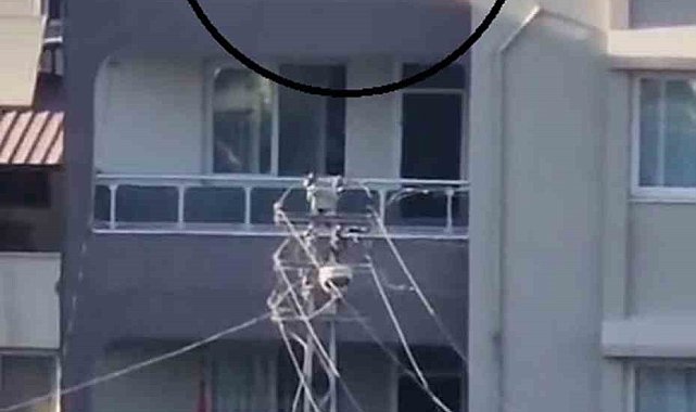 Düğünde korkutan görüntü, pompalı tüfekle defalarca havaya ateş etti