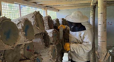 Dünyaca ünlü Bitlis karakovan balının hasadına başlandı