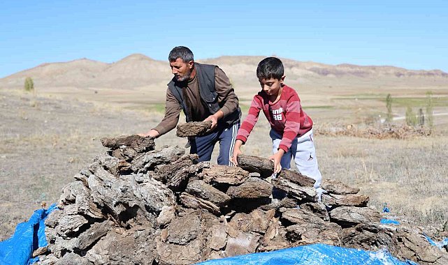 Dünyanın en çevre dostu yakacağı, kalorisi yüksek, karbonmonoksiti yok denecek kadar az