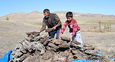 Dünyanın en çevre dostu yakacağı, kalorisi yüksek, karbonmonoksiti yok denecek kadar az