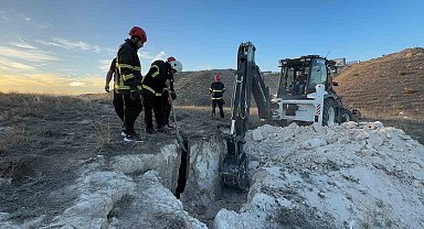 Düştükleri çukurda mahsur kalan iki yavru köpek 3 saat süren çalışma ile kurtarıldı