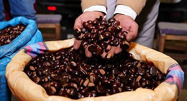 Düzce kestanesi kapış kapış