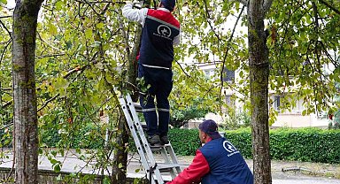 Düzce'de çevre düzenlemesi sürüyor