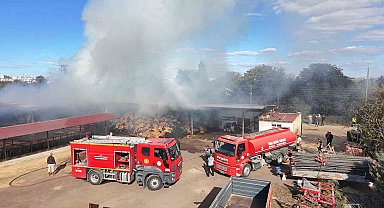 Edirne'de çiftlik yangını: Samanlar ve çeltikler küle döndü