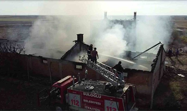 Edirne'de çiftlik yangını: Tavuklar ve arılar telef oldu