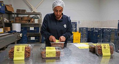 Efeler Belediyesi'nin Kadın Emeği Tarımsal Ürün Fabrikası markalaştı
