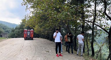 El frenini çekmeyi unuttuğu otomobil uçurumdan uçtu