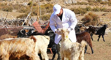 Elmalı'da Çoban Haritası Projesi tamamladı
