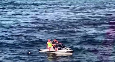 Eminönü'nde martı operasyonu