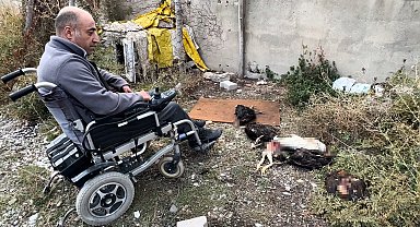 Engelli vatandaşın kümesine giren köpekler 10 tavuğu telef etti