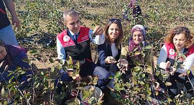 Erdek Kaymakamı Atasoy'dan Dünya Kadın Çiftçiler Günü Ziyareti
