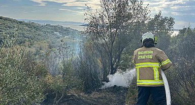Erdek'te yangın: 10 dönümlük zeytinlik kül oldu