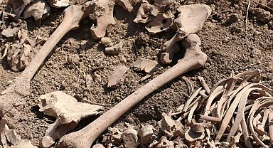 Ermenistan işgalinden kurtarılan Azerbaycan topraklarında yeni toplu mezarlar bulundu