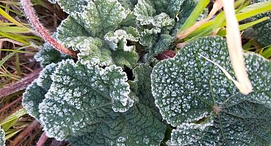 Erzincan için zirai don uyarısı