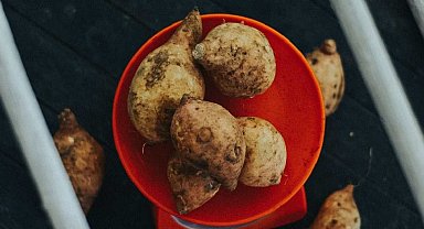 Erzincan'da yeni ürün için demonstrasyon alanı kuruldu