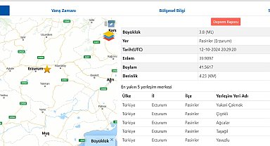 Erzurum 3,8 ile sallandı