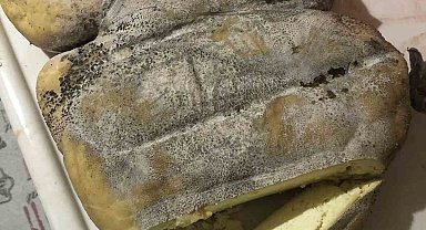 Erzurum Karın Kaymağı Peyniri coğrafi işaret yolunda