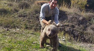 Erzurum Oltu'da yaralı yavru ayı kurtarıldı