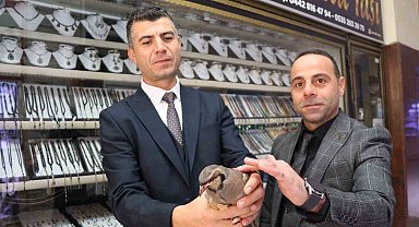 Erzurum'da kınalı kekliğe uzanan şefkatli eller