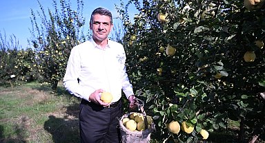 Eşme Ayva Festivali 20 Ekim'de düzenlenecek