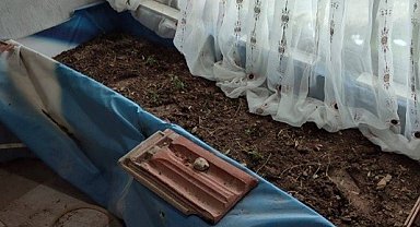 Evinde uyuşturucu serası oluşturan kişi tutuklandı