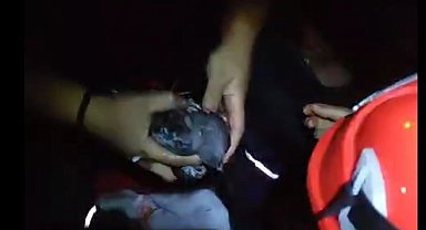 Fabrika yangınında kanatları yanan güvercini ekipler kurtardı