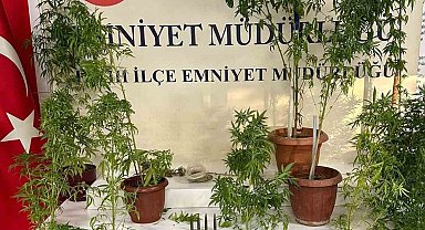 Fatih'te uyuşturucu operasyonu: 1 gözaltı