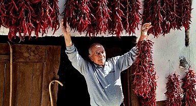 Fotoğraf tutkunları 160 yıldır aynı tohumdan üretilen 'Çukurören biberi'ni görüntülemek için Bilecik'e geldi