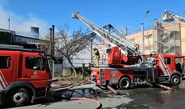 Gaziosmanpaşa'da korkutan yangın: Dumanlar kilometrelerce uzaktan görüldü
