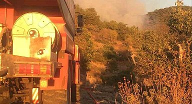 Gazipaşa'da ormanlık alanda çıkan yangın söndürüldü