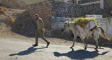 Gercüş'te imece usulü orakla pirinç hasadı