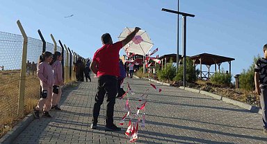 Gercüş'te uçurtma şenliği renkli görüntülere sahne oldu