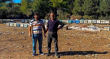 Gökbel'de kovan tespit çalışmaları sürüyor