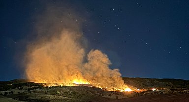 Gölbaşı'nda ormanlık alanda çıkan yangın korkuttu