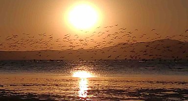 Güneşin kenti Van'da flamingolarla gün batımı