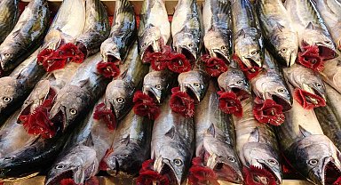 Hamsi tezgahta yenildiği palamudu ihracatta solladı