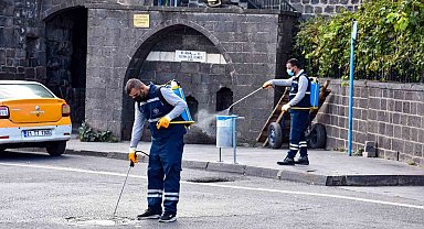 Haşerelere karşı ilaçlama çalışmaları sürüyor