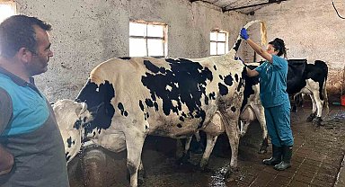 Hastalıktan ari 200 işletme hedefiyle çalışmalar devam ediyor