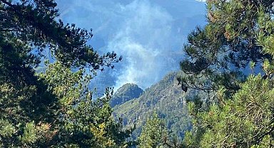 Hatay'da orman yangını