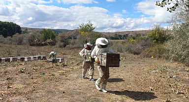 Havaların soğumasıyla arıcıların göç mesaisi başladı