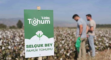 Hektaş'ın hedefi tohumda bağımsızlık