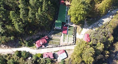 Her yıl 1 milyon 100 bin kırmızı benekli yavru orman içi sularıyla buluşuyor